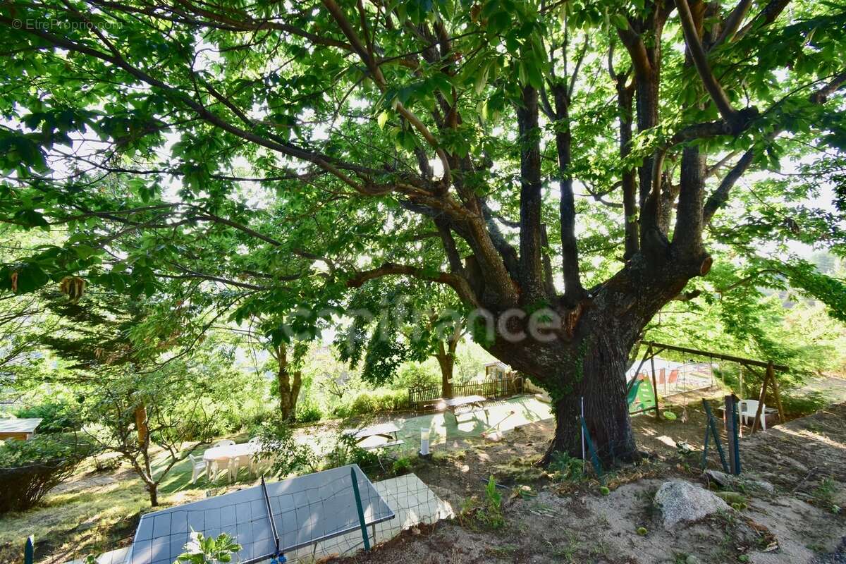 Dpt Corse (20), à vendre EVISA, propriété avec six chalets en bois, terrasse vue panoramique, piscine, parking - photo 16