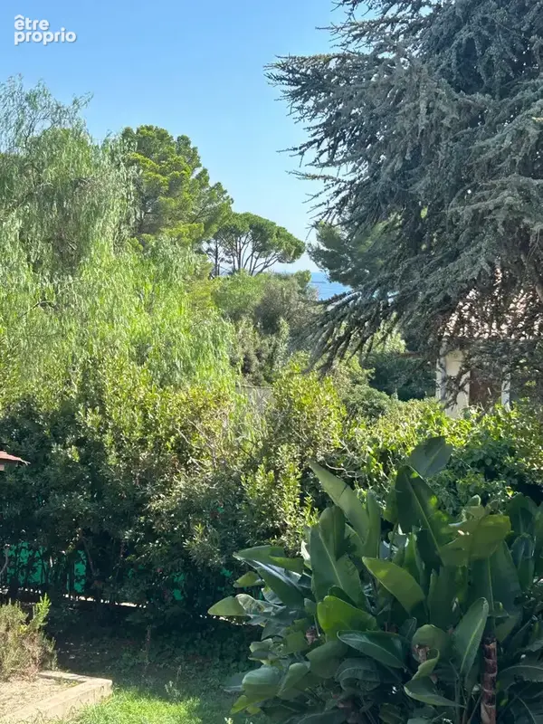 RARE - Presqu'île de Giens (La Polynésie) - Propriété de 230 m² avec piscine et aperçu mer - photo 15