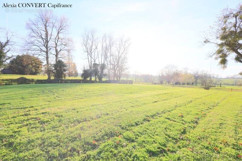 Terrain à SAINT-JULIEN-SUR-REYSSOUZE