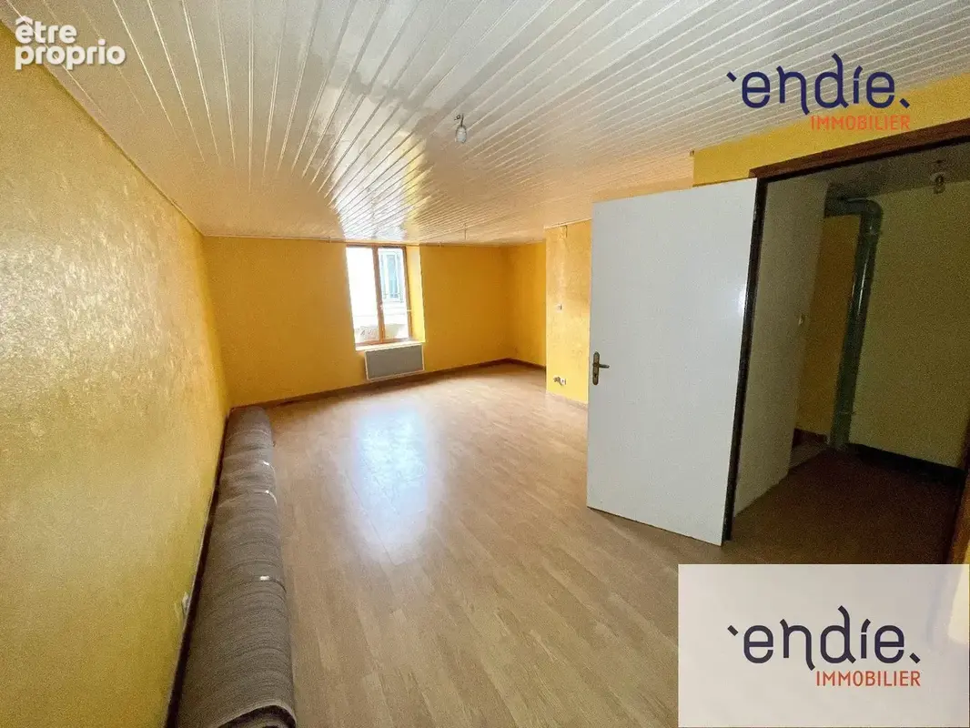 Appartement 179 m² à vendre à Bourbonne-Les-Bains (52400) - photo 2