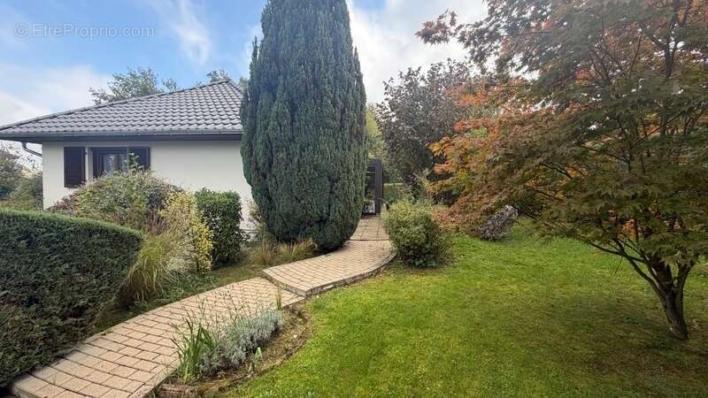 Maison à SELONCOURT