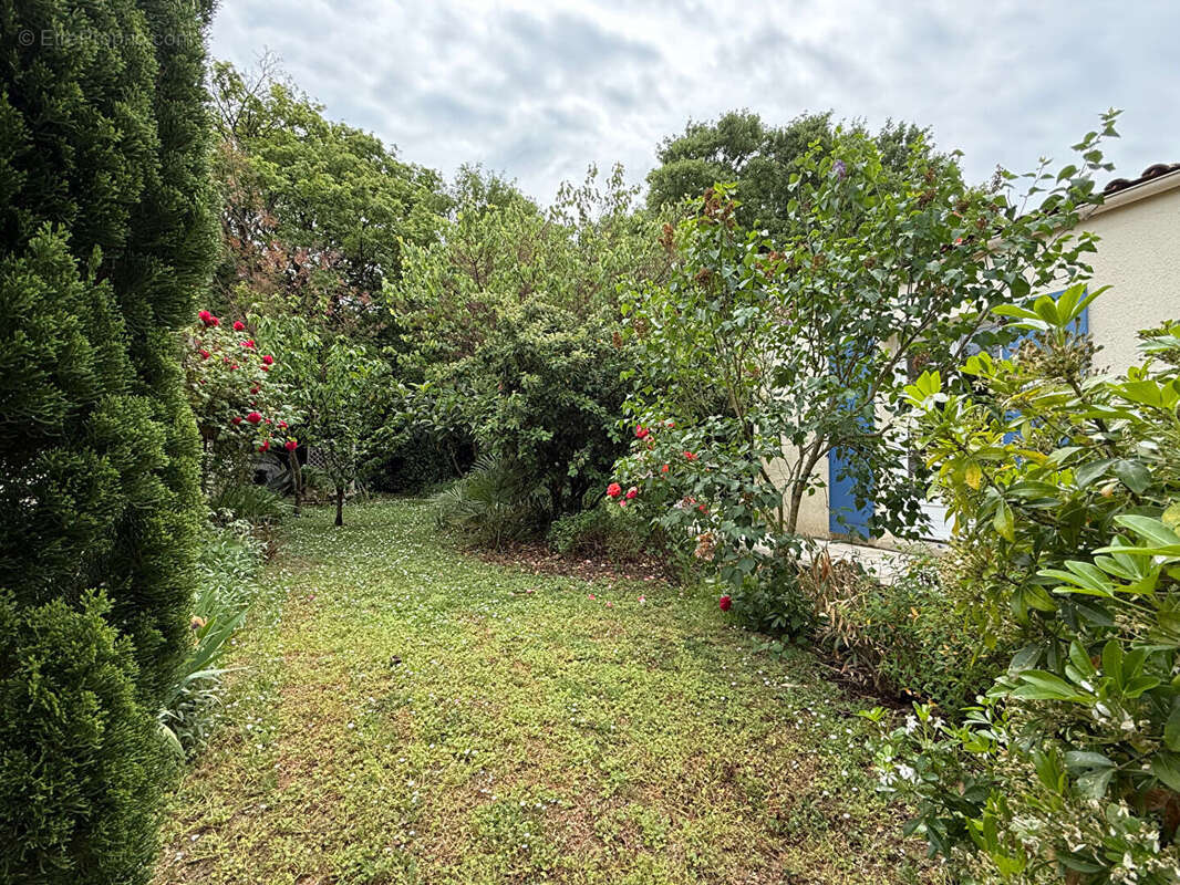Maison à SURGERES