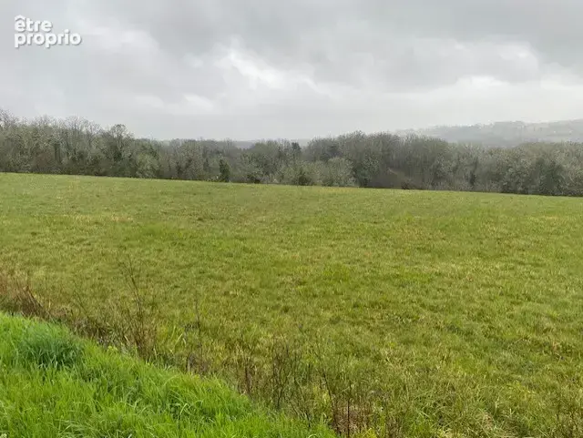 Terrain à LE ROC