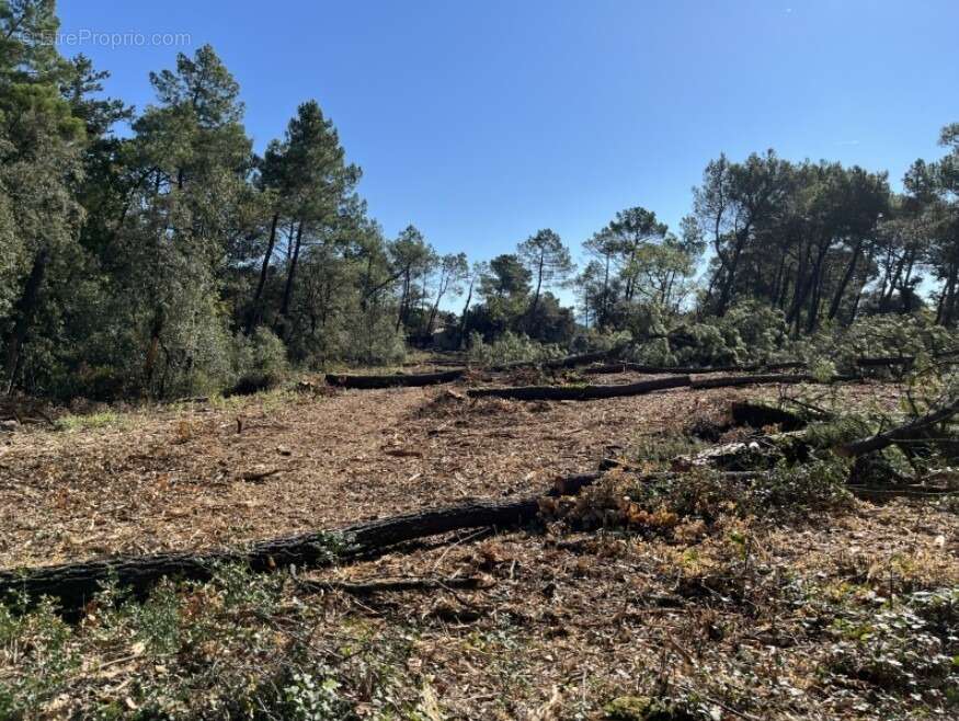 Terrain à SUZE-LA-ROUSSE