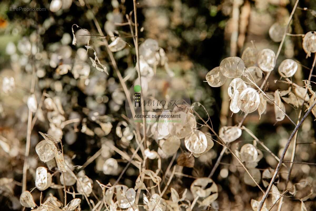 Appartement à RILLIEUX-LA-PAPE