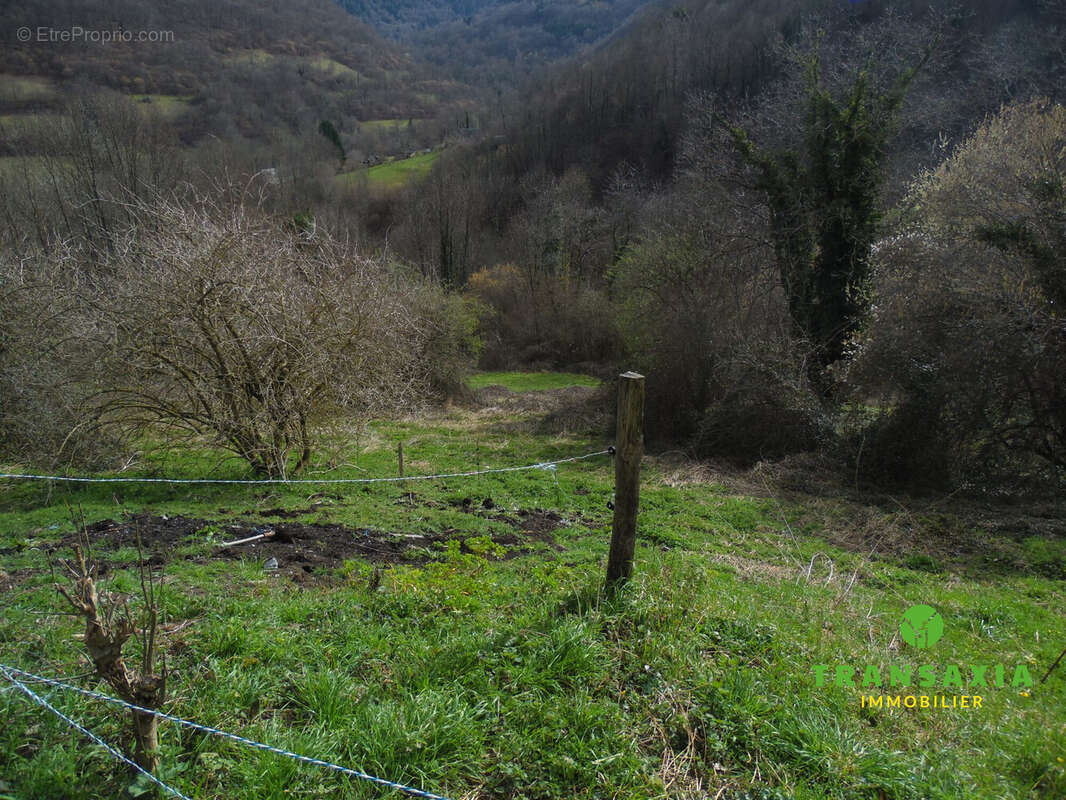 Jardin - Maison à SAINT-LARY