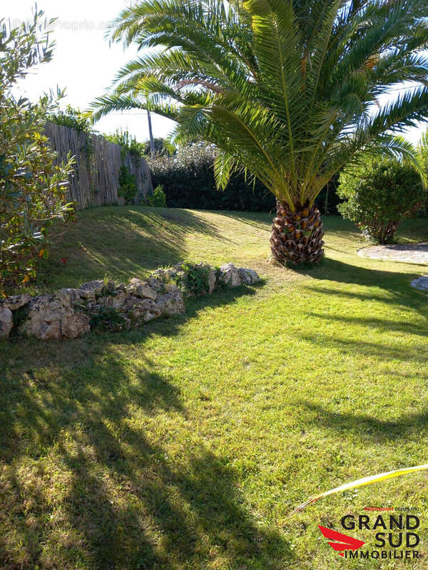 Maison à LEGE-CAP-FERRET