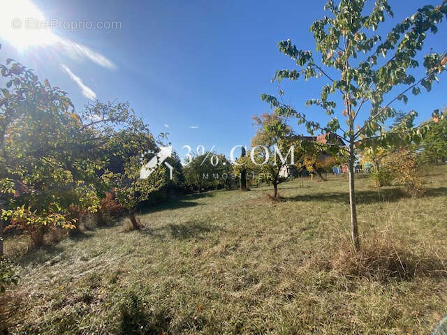 Terrain à DETTWILLER