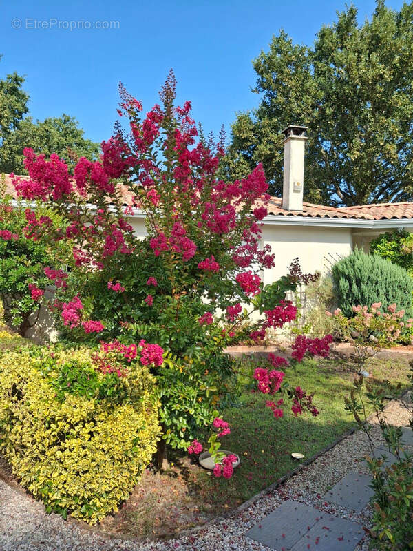 Maison à BIGANOS