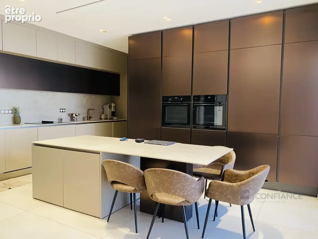 Maison 450 m² à Villeurbanne  - photo 3