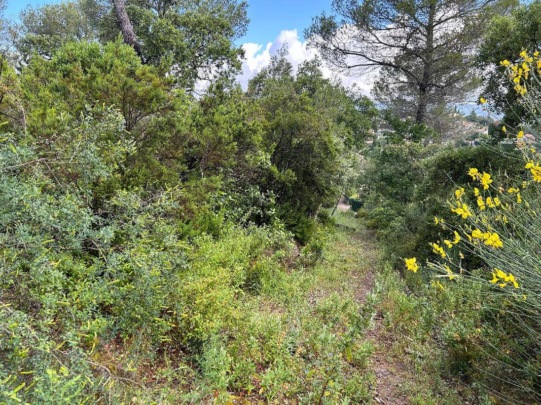 Terrain à PIERREFEU-DU-VAR