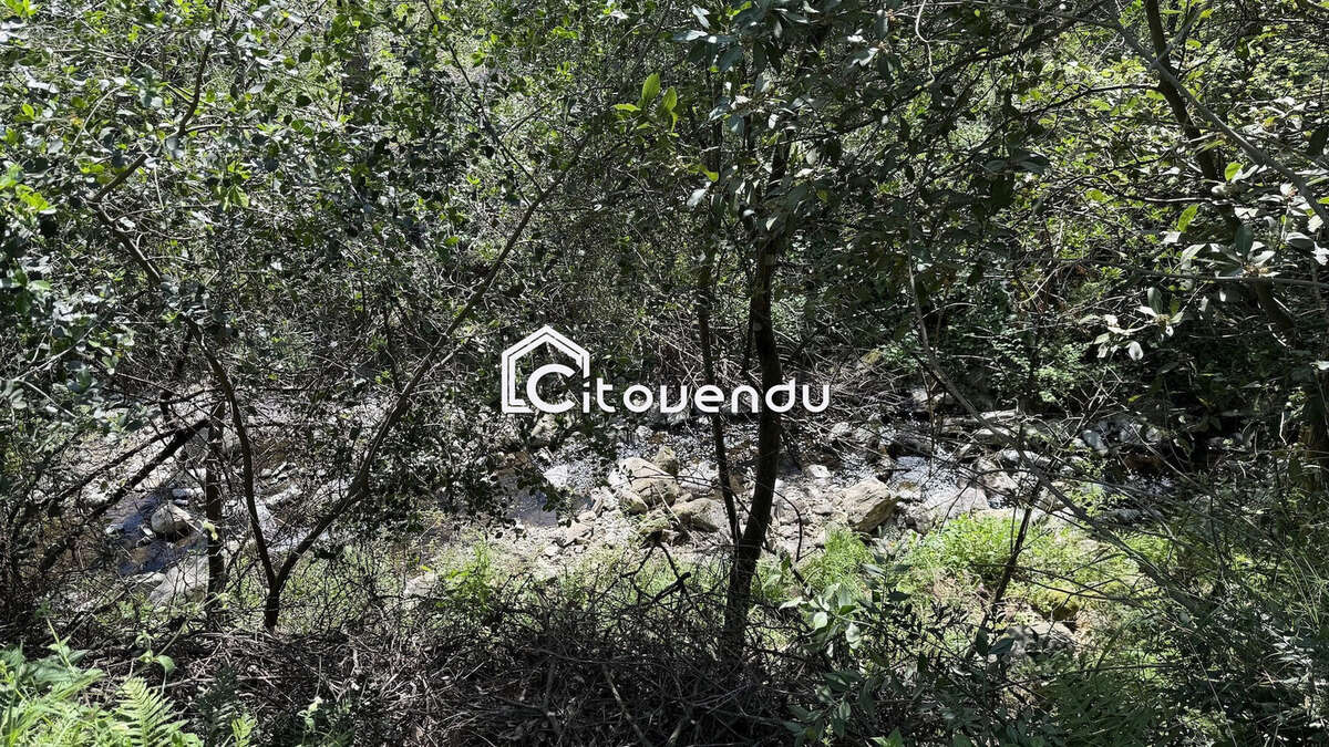 Terrain à MONTESQUIEU-DES-ALBERES