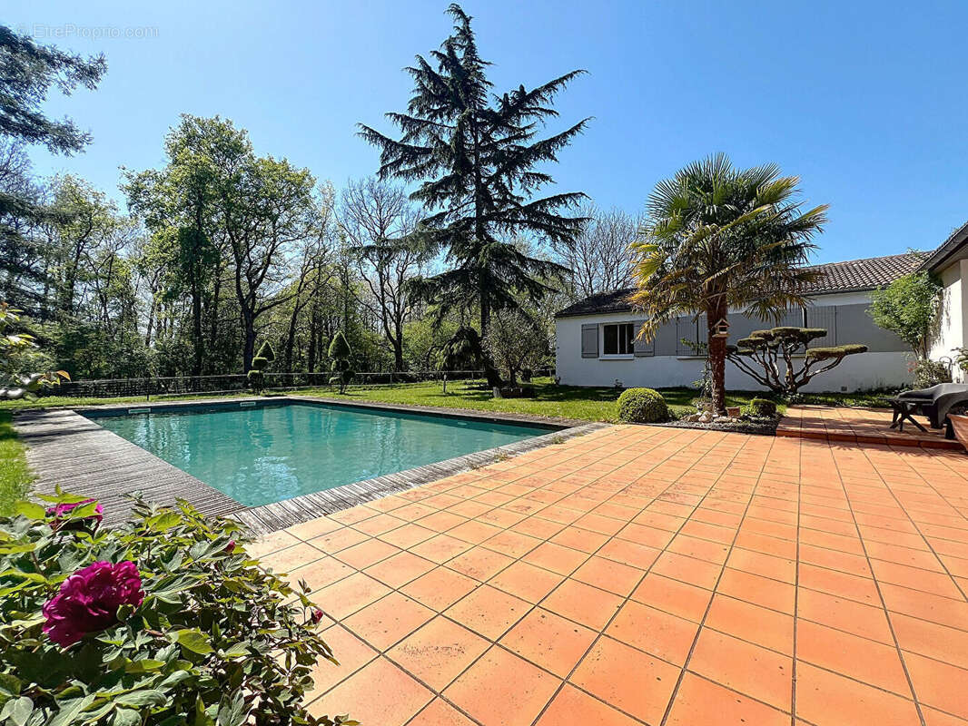 Maison à VENANSAULT