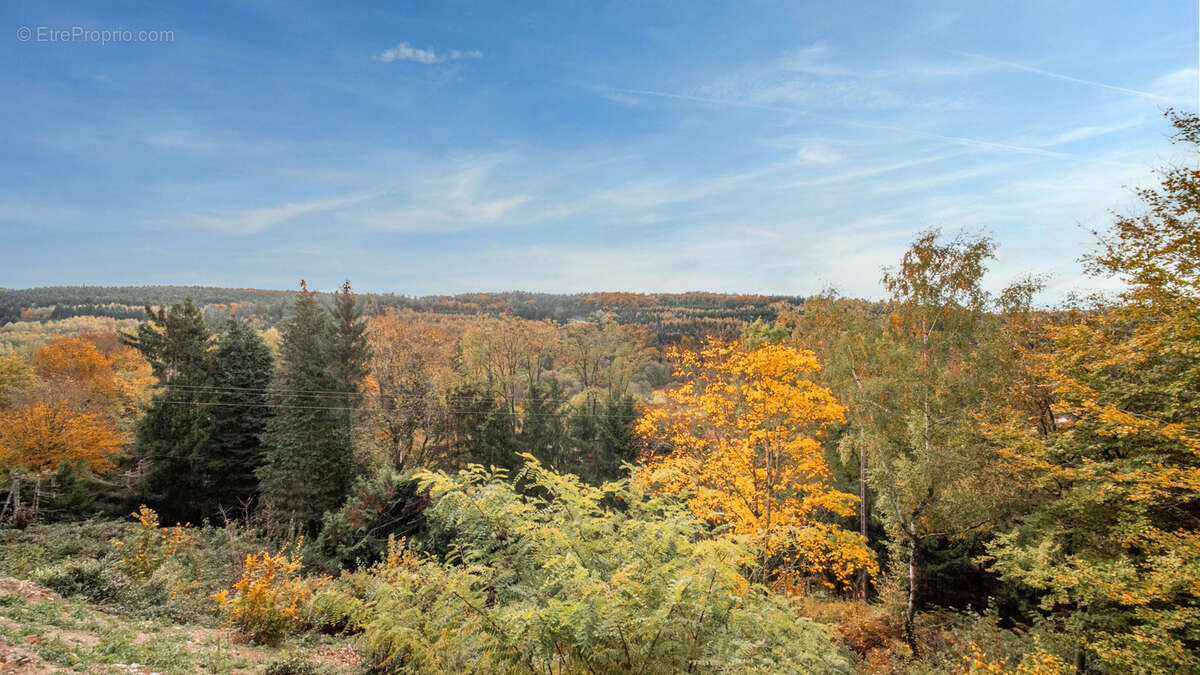 Maison à MOYENMOUTIER