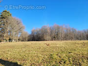 Terrain à SAINTE-FORTUNADE