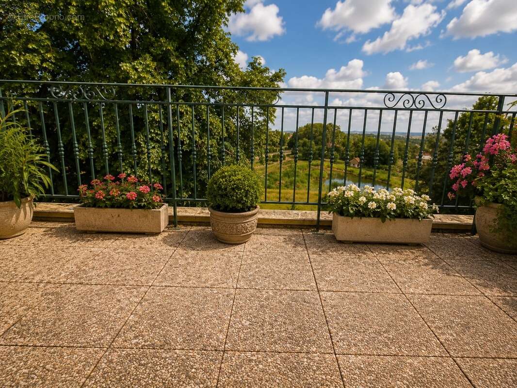 Propriete à vendre 9 pièces MIRECOURT (88) PROPRIÉTÉ D'EXCEPTION avec PISCINE sur TERRAIN clos et arboré de + de 6.500 m2 - photo 20