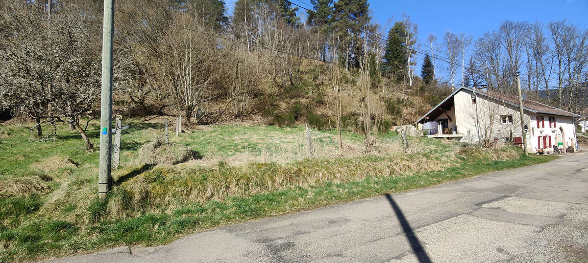 Champenay, commune de Plaine, terrain de 4.96 ares, au calme et aux abords de la forêt. - photo 4