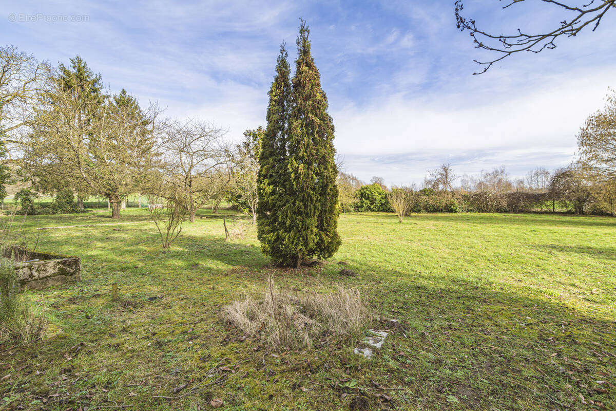 Terrain à COURLANDON