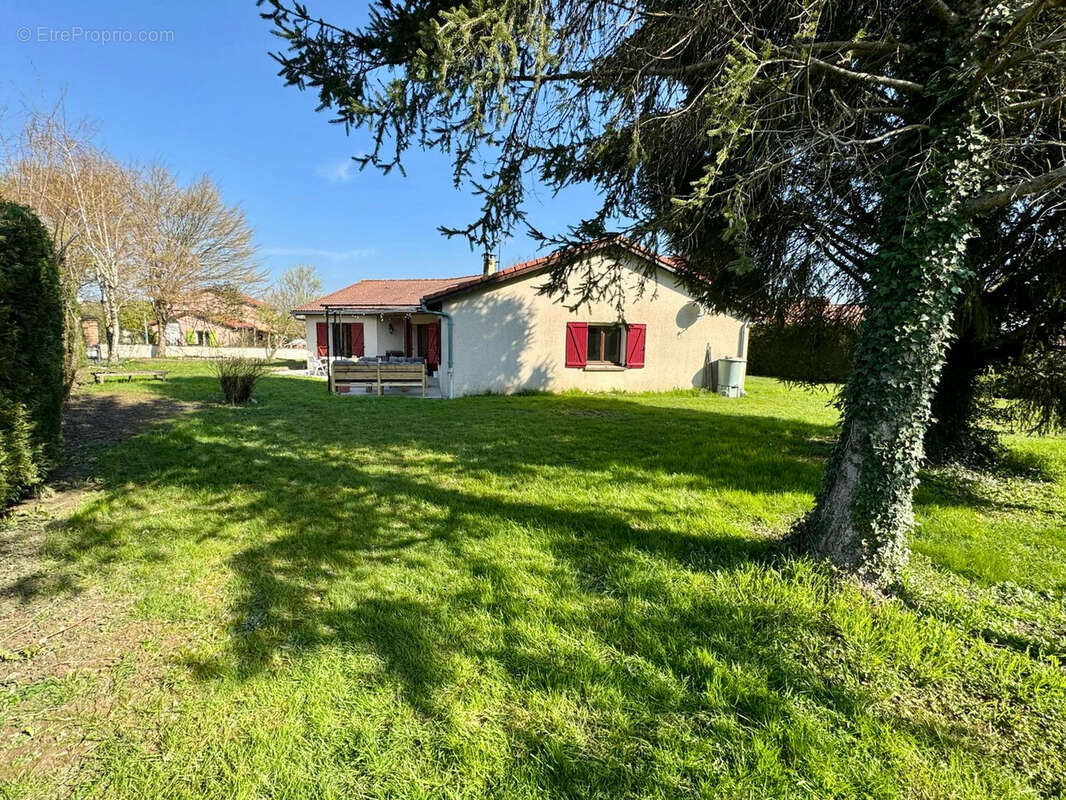 Maison à L'ABERGEMENT-CLEMENCIAT