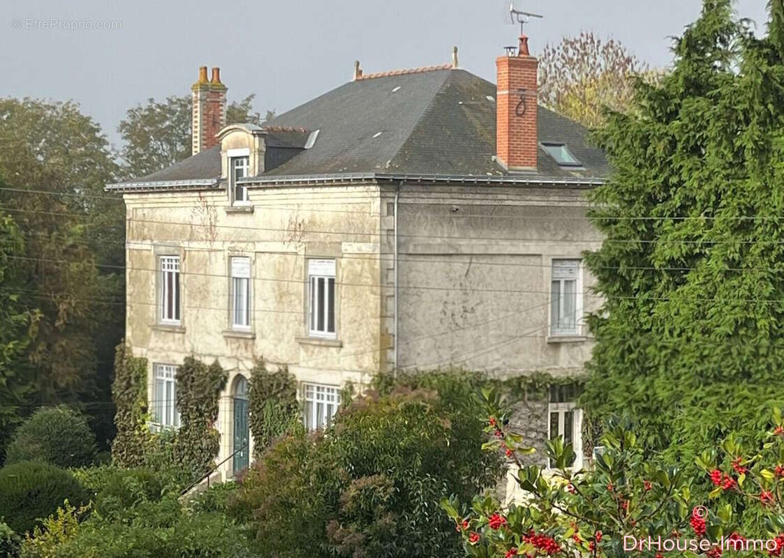 Maison 412 m² à Martigne-Briand  - photo 50