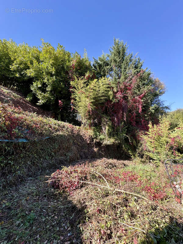 Maison à SALLES-DE-BELVES