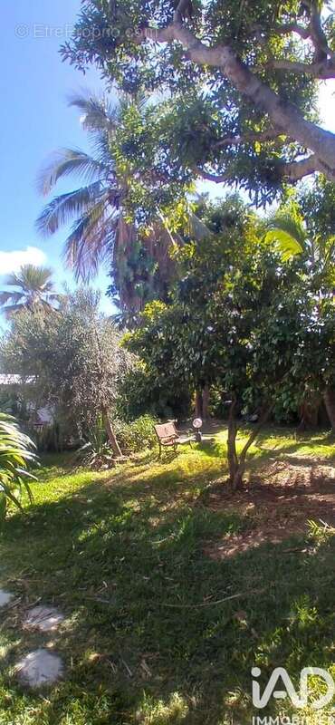 Photo 9 - Maison à LE TAMPON