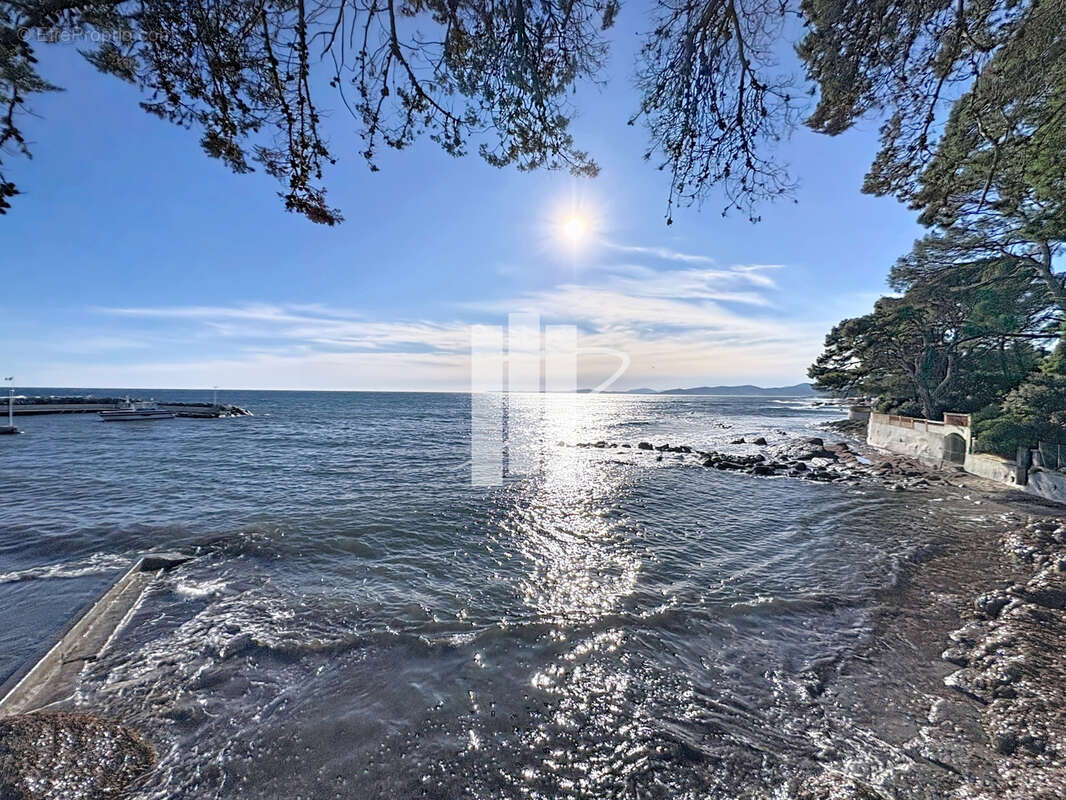  3 pièces avec vue mer - photo 11