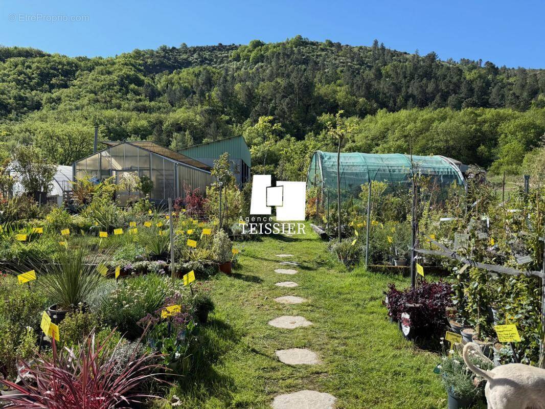 Commerce à LES VANS