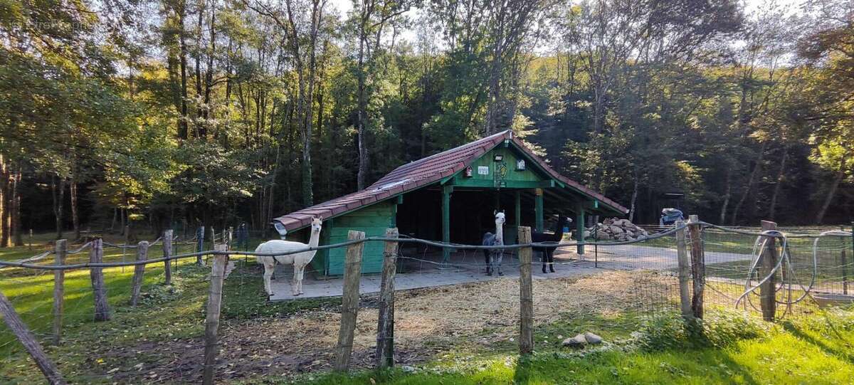 Maison à ROUGEMONT-LE-CHATEAU