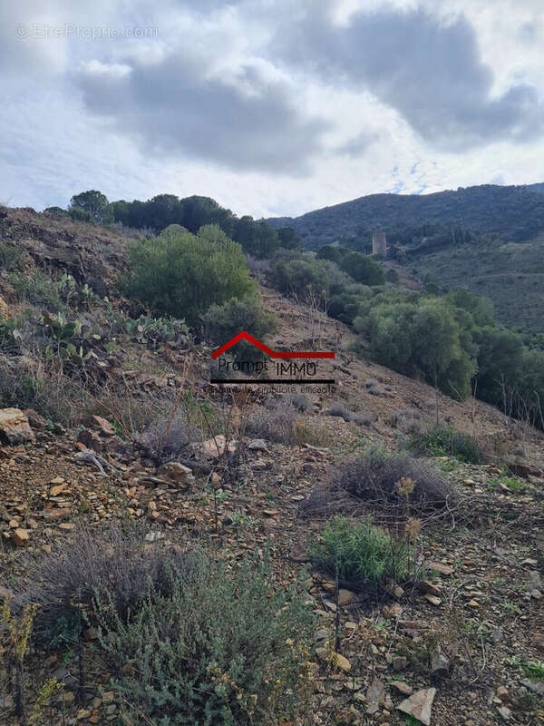 Terrain à BANYULS-SUR-MER