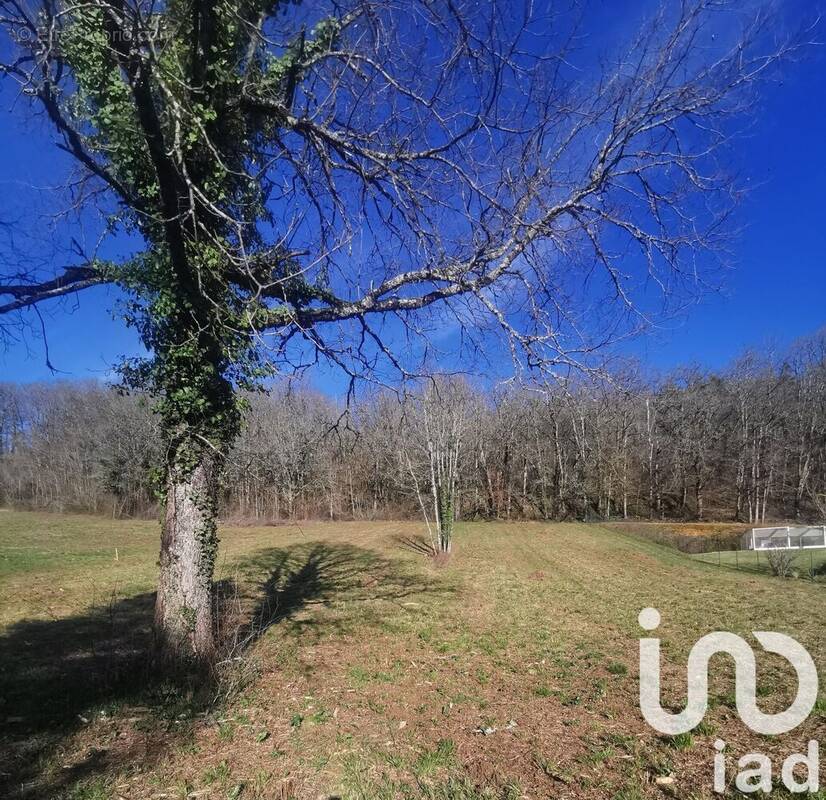 Photo 1 - Terrain à CAZALS