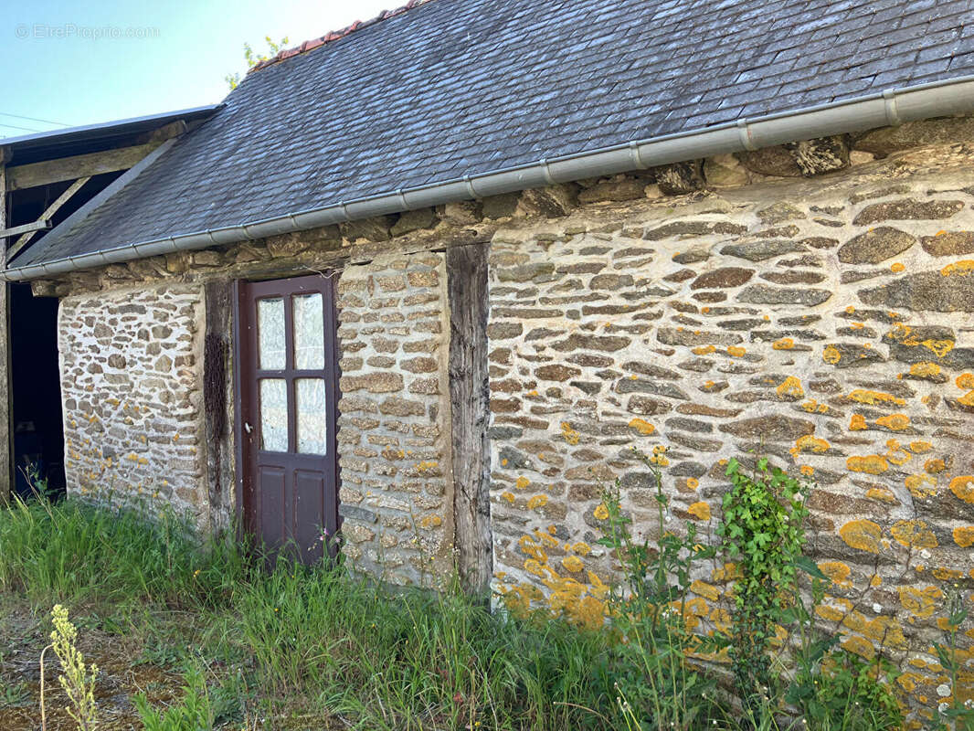 Maison à COLLINEE