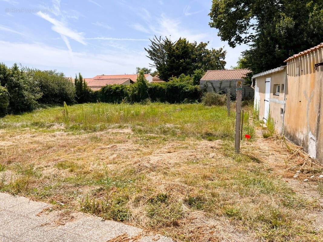 Terrain à VAIRE