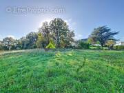 Terrain à SAINTE-FEYRE