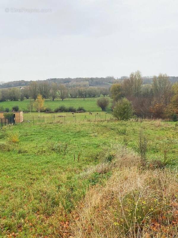 Photo 1 - Terrain à MAMETZ