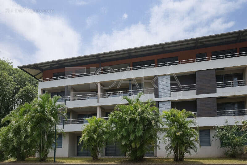 Immeuble - Appartement à CAYENNE