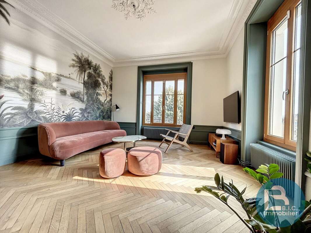 séjour - Maison à TREVOUX
