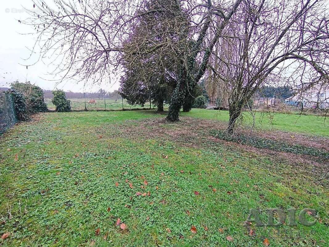 Terrain à DAMMARTIN-EN-GOELE