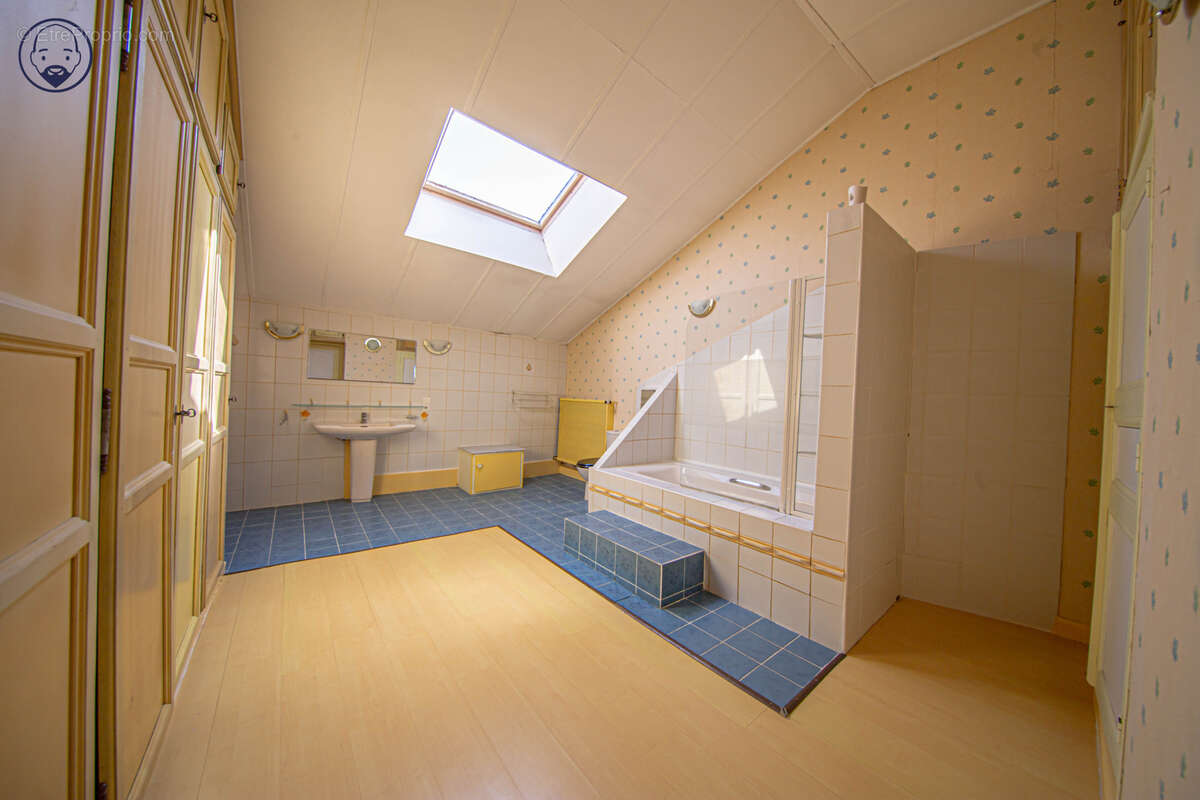 Maison de caractère 314 m2 et grand parc arboré - photo 18