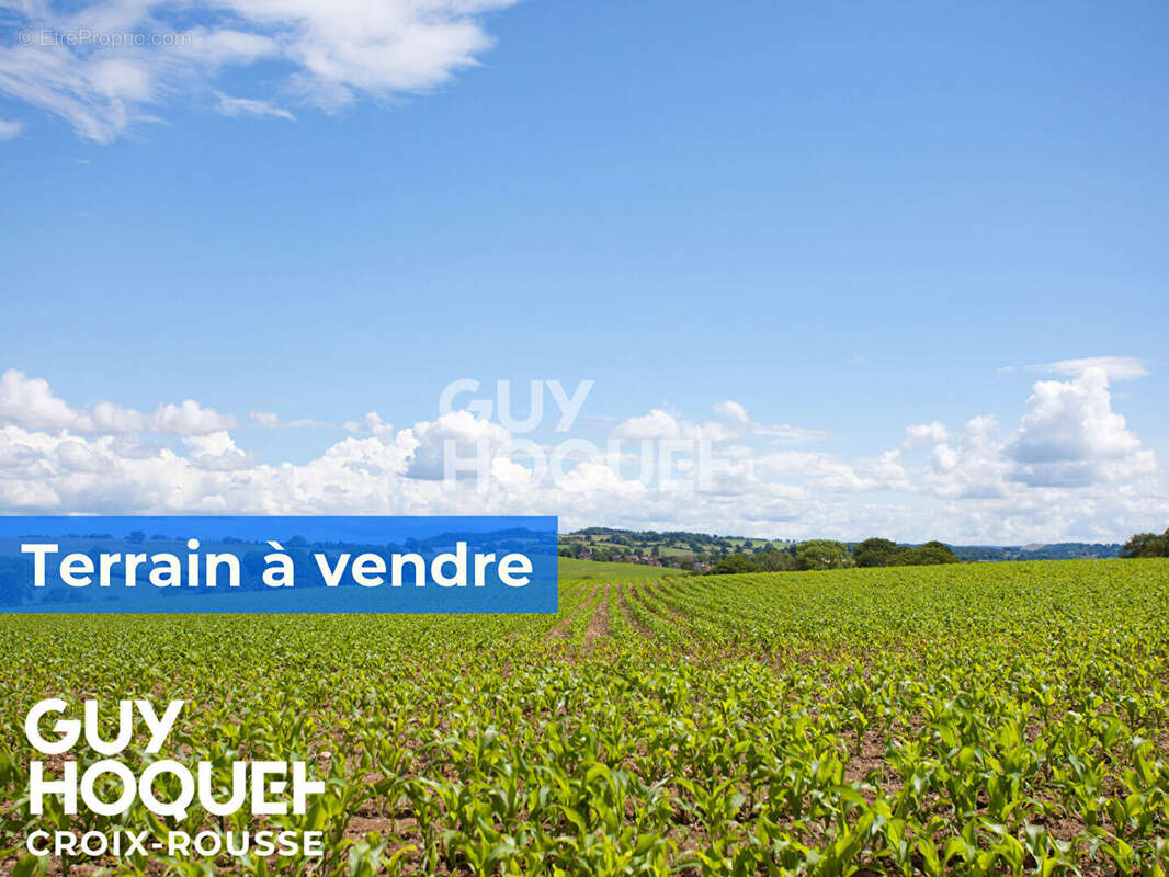 Terrain à ECULLY