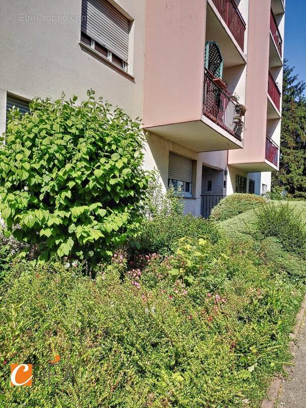 Appartement à MULHOUSE