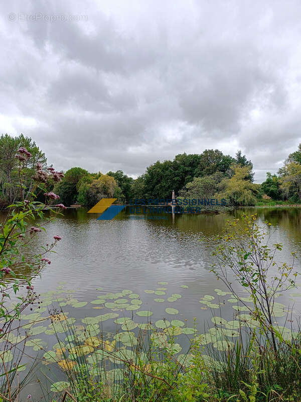 Domaine de prestige - photo 12