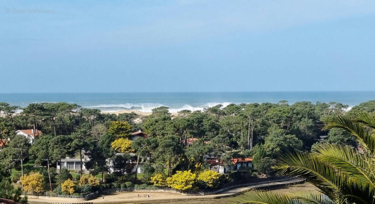 Terrain à HOSSEGOR