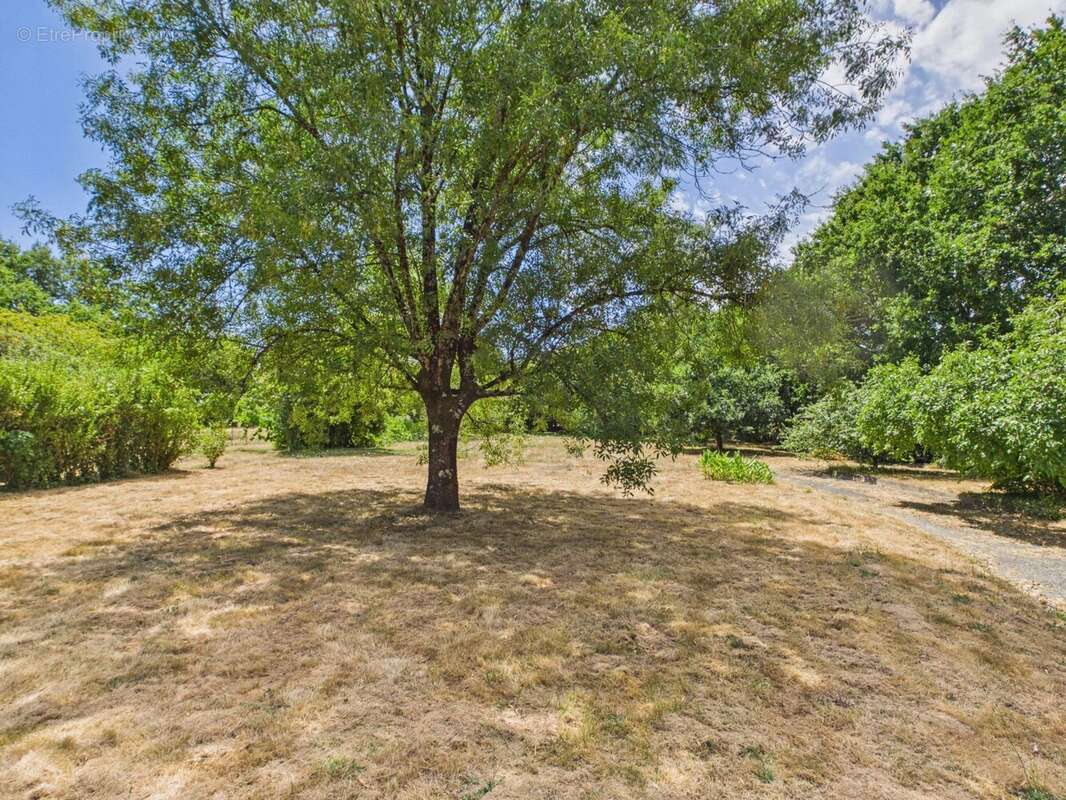 Maison familiale – 3 chambres – 5 307 m² de terrain avec piscine - photo 10