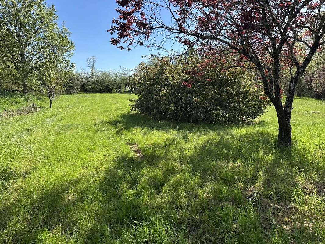 Terrain à SAINT-MAURICE-LA-CLOUERE
