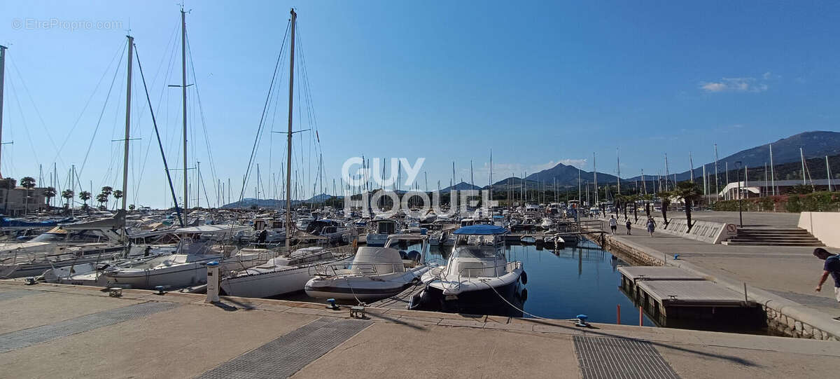 Commerce à ARGELES-SUR-MER