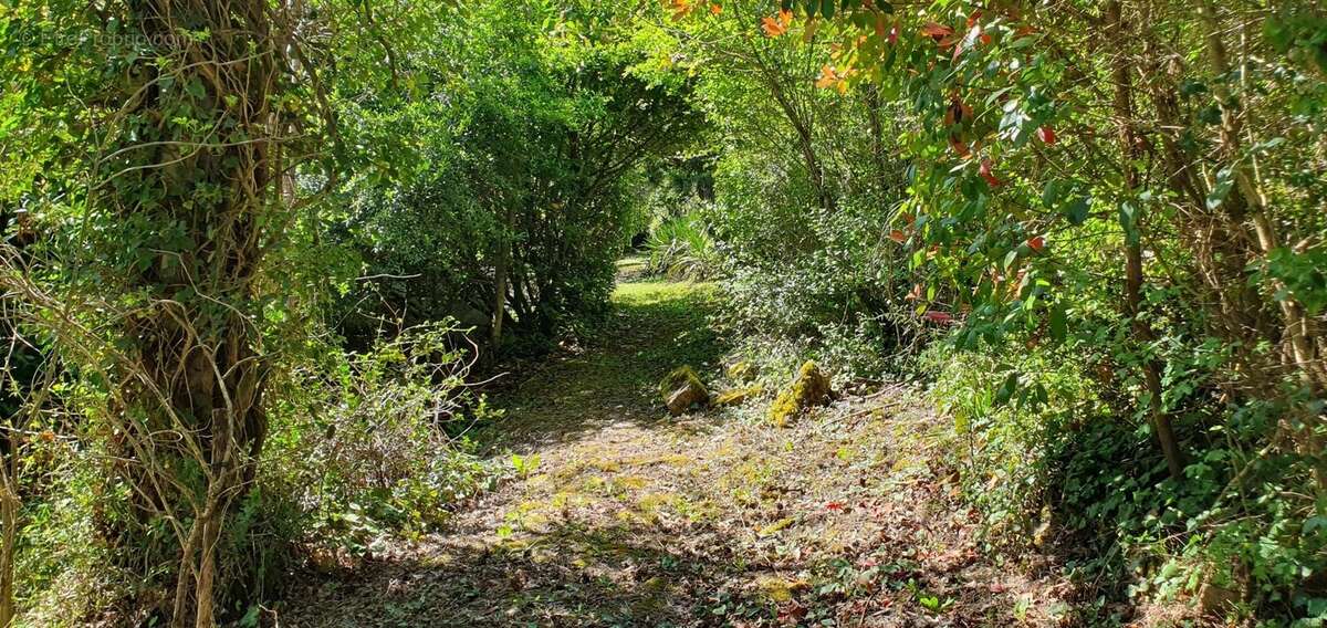 Maison à SAINT-ANTONIN-NOBLE-VAL