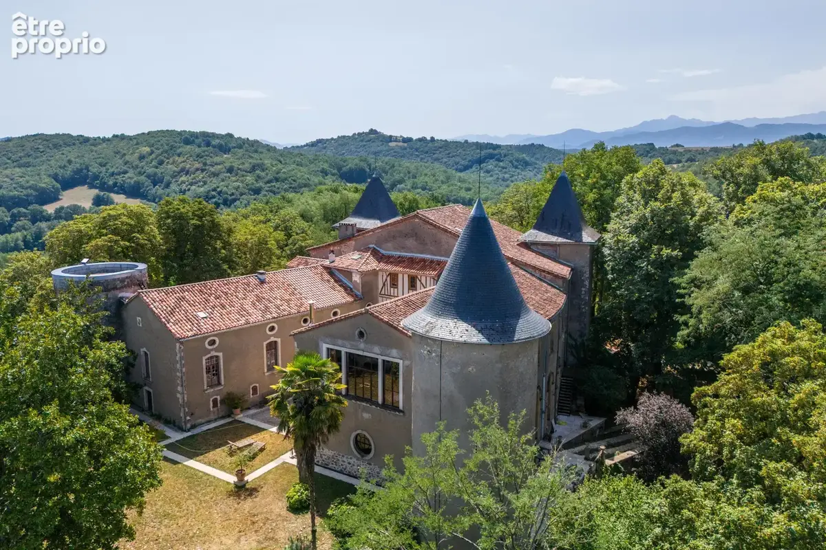 Château - Une situation magnifique et des intérieurs époustouflants - photo 22