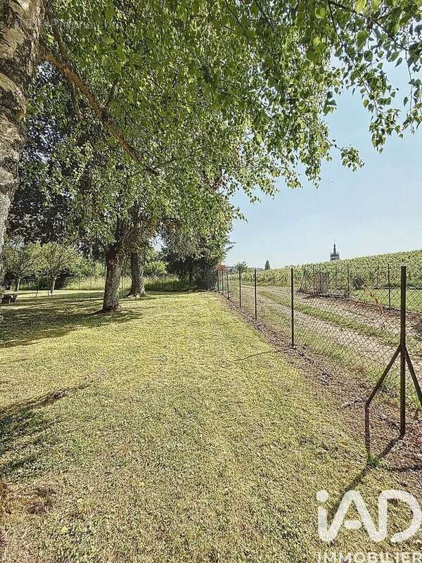 Photo 5 - Terrain à SAINT-MARTIN-D'ABLOIS