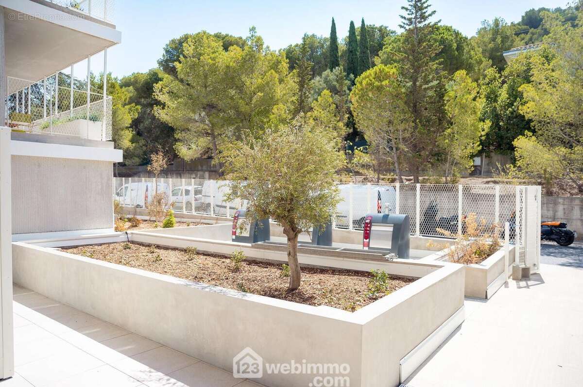 jardin - Appartement à SETE